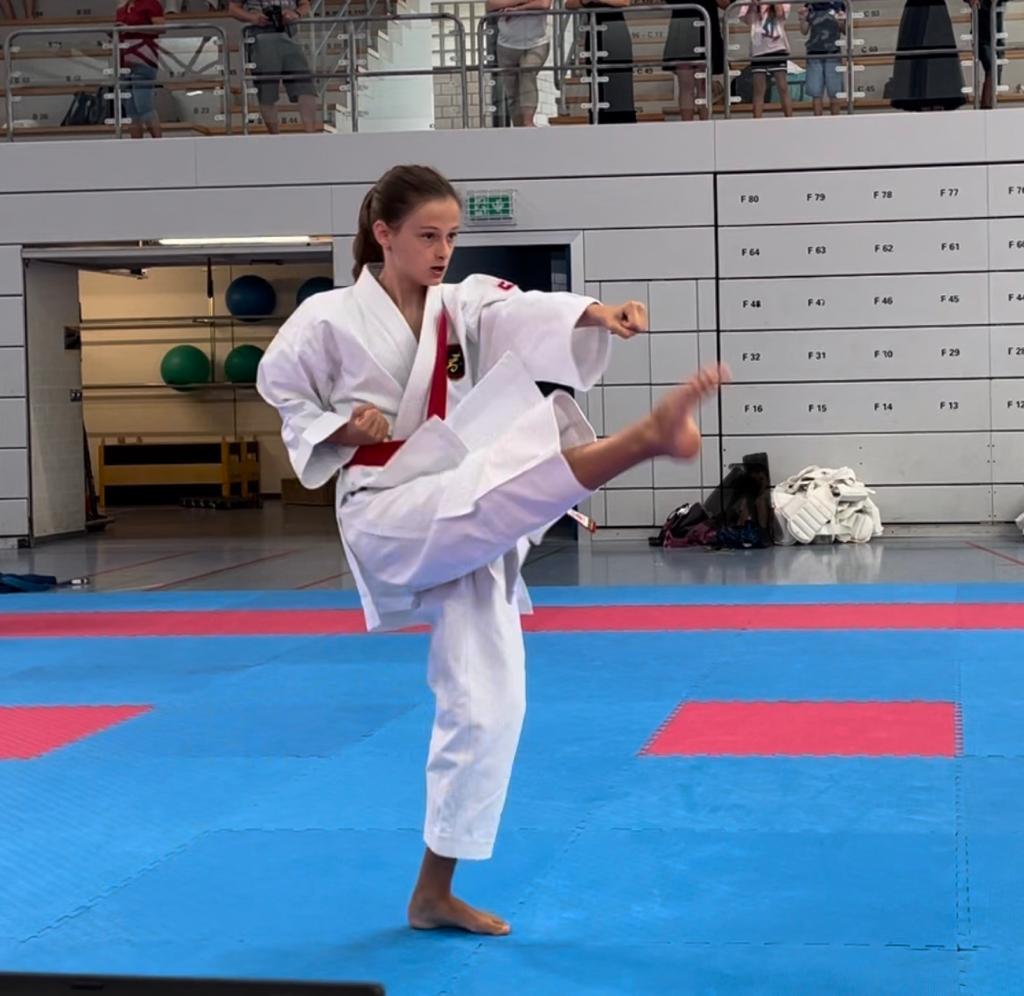 8bf5e557-1c2b-4493-9fcc-47f9e6d9c3cc 2