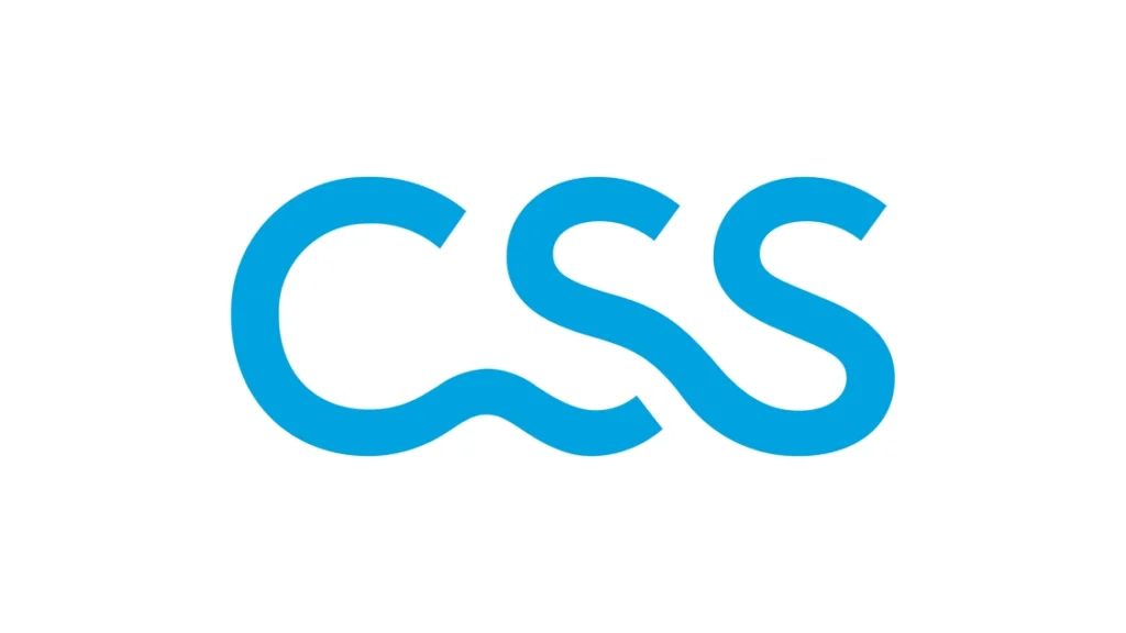 CSS Logo