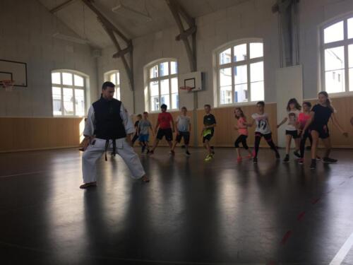 2019 Ksi Im Schulhaus Schwandel Thalwil Kimura Shukokai International